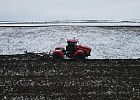 Кредитование сезонных полевых работ увеличилось на 20,3% Кредитование сезонных полевых работ увеличилось на 20,3%